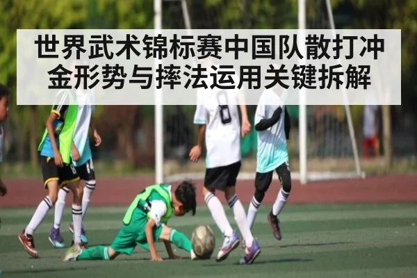 世界武术锦标赛中国队散打冲金形势与摔法运用关键拆解